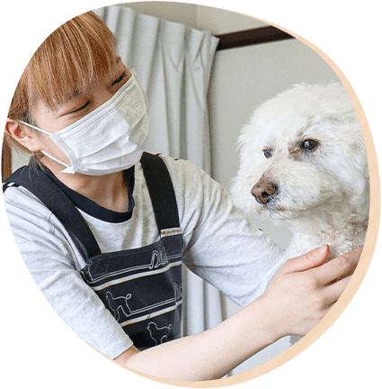 オーナー 西田 愛梨