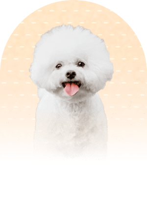 初めての方へ